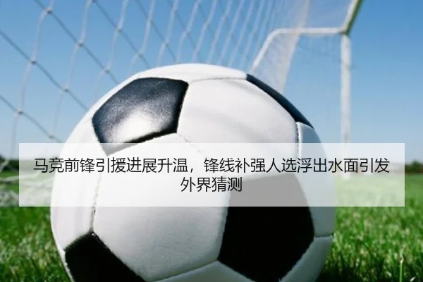 img_1781837044182_36_0_799.jpg（XINGKONG SPORTS app）